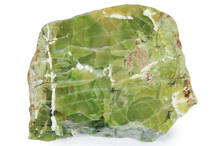 Polished Green-White Opal Slab - Western Australia #353738